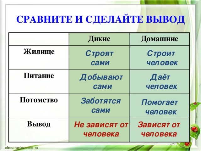 СРАВНИТЕ И СДЕЛАЙТЕ ВЫВОД Дикие Жилище Домашние Питание Потомство Вывод Строят Строит сами человек Даёт Добывают сами человек Заботятся сами Помогает человек Зависят от Не зависят от человека человека