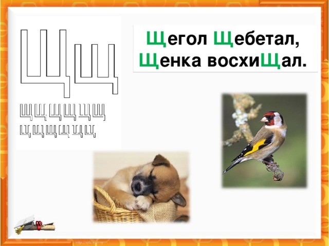 Щ егол Щ ебетал, Щ енка восхи Щ ал.