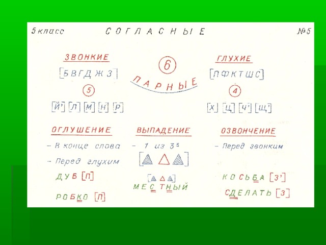 Слабы согласные. Слабая и сильная позиция согласных 2 класс. Орфограммы слабых позиций согласных звуков. Орфограммы слабых позиций гласных. Орфограммы слабых позиций гласных звуков.