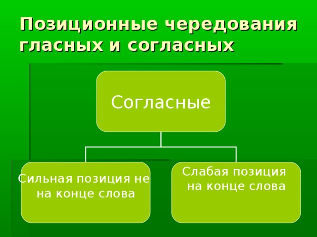 Сильный согласны. Розицилгные чередование гласных и согласных. Позиционные чередования гласных. Позиционное чередование звуков. Позиционные чередования гласных фонем.