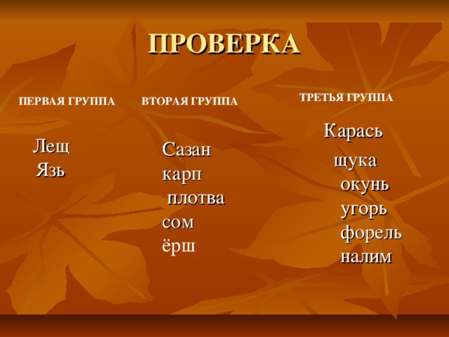 ПРОВЕРКА ТРЕТЬЯ ГРУППА ПЕРВАЯ ГРУППА ВТОРАЯ ГРУППА Карась  щука окунь угорь форель налим Лещ  Язь Сазан карп  плотва сом ёрш