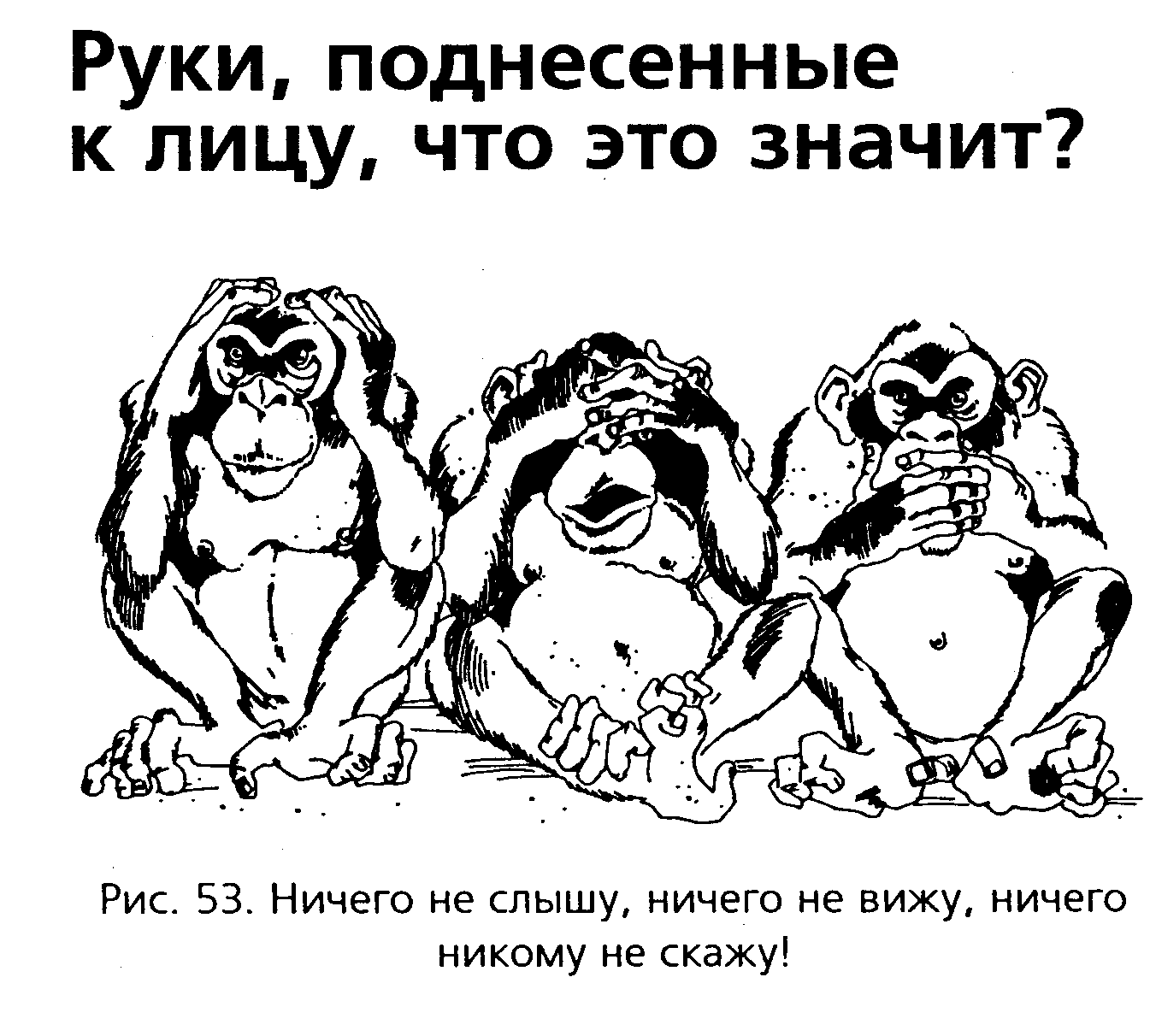 Включи ничего не слышит. Ничего не вижу ничего не слышу. Ничего не вижу ничего не слышу ничего никому не скажу обезьяны. Ничего не виду ничего не слышу ничего не сказу. Ничего не вижу не слышу не говорю.