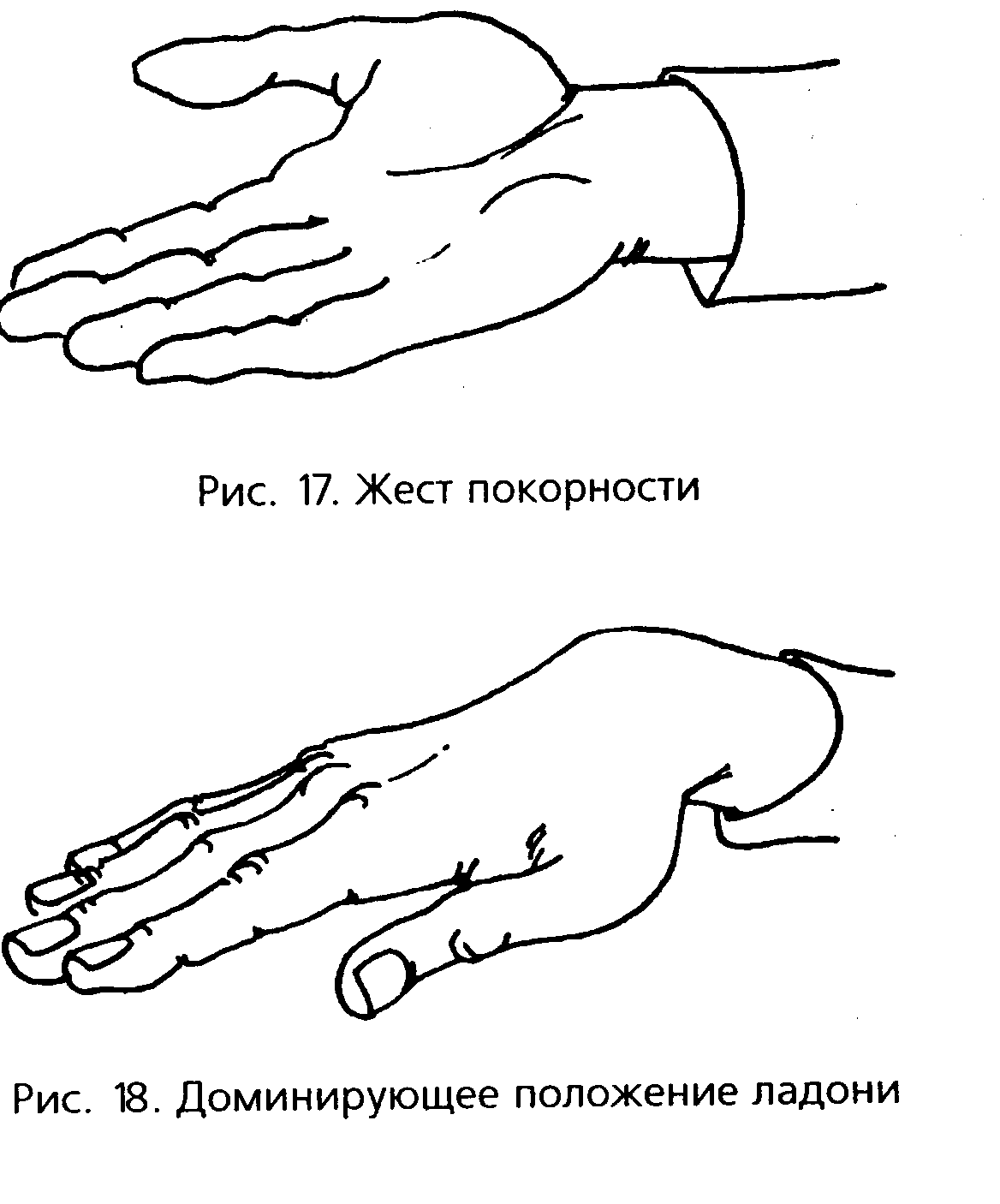 Какое положение рук