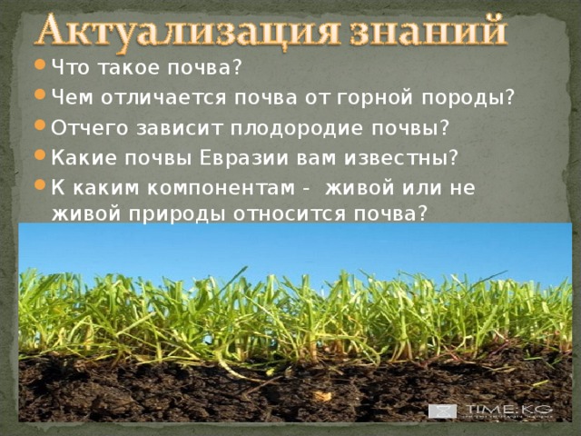 Что такое почва? Чем отличается почва от горной породы? Отчего зависит плодородие почвы? Какие почвы Евразии вам известны? К каким компонентам - живой или не живой природы относится почва?