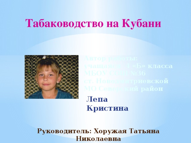 Табаководство на Кубани Автор работы: учащаяся 4 «Б» класса МБОУ СОШ №36 ст. Новодмитриевской МО Северский район Лепа Кристина Руководитель: Хоружая Татьяна Николаевна