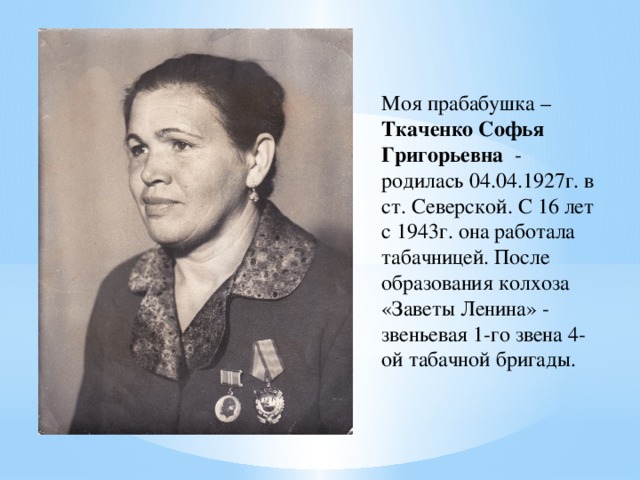 Моя прабабушка – Ткаченко Софья Григорьевна - родилась 04.04.1927г. в ст. Северской. С 16 лет с 1943г. она работала табачницей. После образования колхоза «Заветы Ленина» - звеньевая 1-го звена 4-ой табачной бригады.