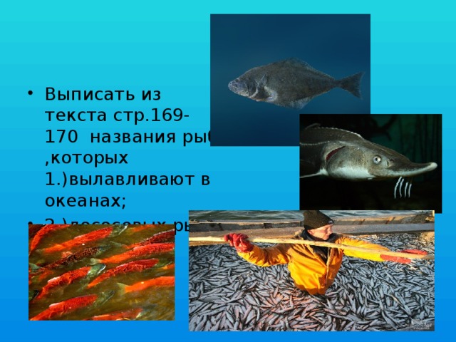 Выписать из текста стр.169-170 названия рыб ,которых 1.)вылавливают в океанах; 2.)лососевых рыб.