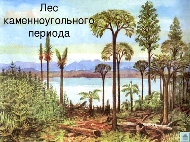 Лес каменноугольного периода