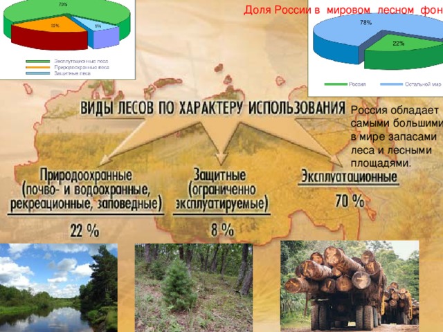 Доля России в мировом лесном фонде Россия обладает самыми большими в мире запасами леса и лесными площадями .