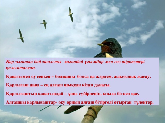 Қарлығашқа байланысты мынадай ұғымдар мен сөз тіркестері қалыптасқан. Қанатымен су сепкен – болмашы болса да жәрдем, жақсылық жасау. Қарлығаш дана – ең алғаш шыққан кітап данасы. Қарлығаштың қанатындай – ұшы сүйірленіп, қиыла біткен қас. Алғашқы қарлығаштар- оқу орнын алғаш бітіргелі отырған түлектер.