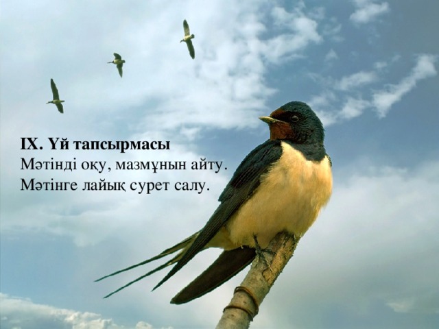 ІХ. Үй тапсырмасы Мәтінді оқу, мазмұнын айту. Мәтінге лайық сурет салу.