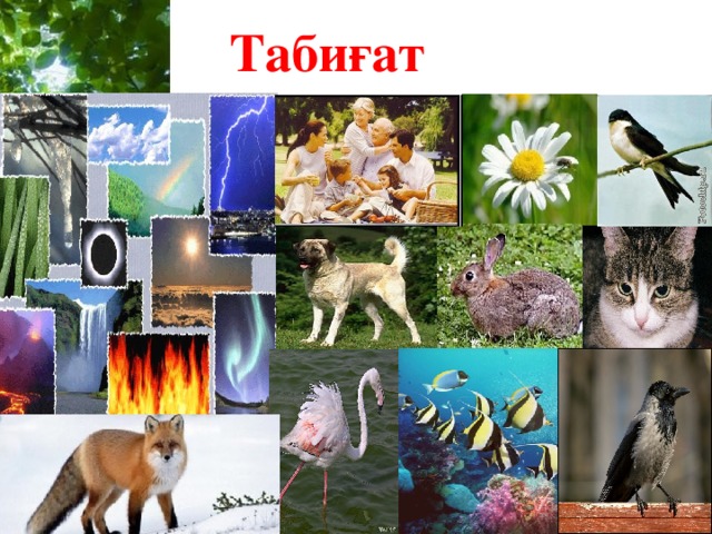 Табиғат