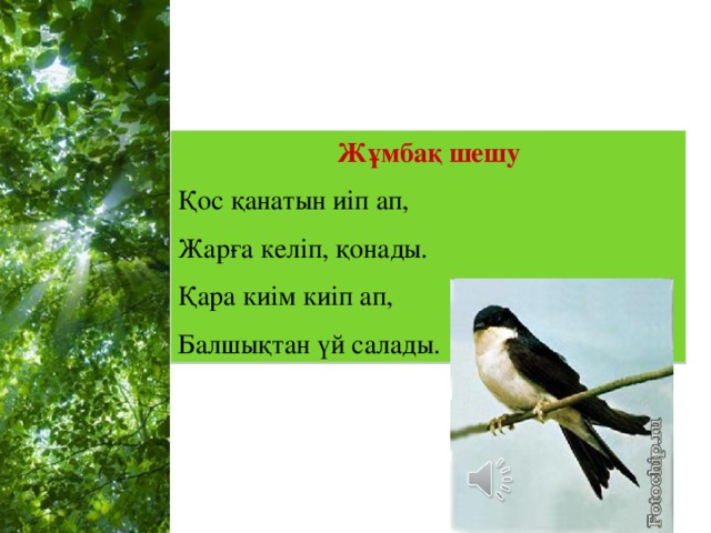 Жұмбақ шешу Қос қанатын иіп ап, Жарға келіп, қонады. Қара киім киіп ап, Балшықтан үй салады.