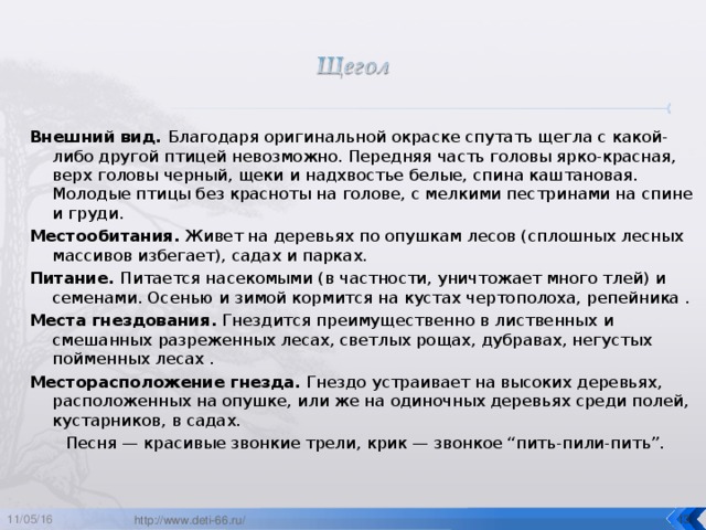 Внешний вид. Благодаря оригинальной окраске спутать щегла с какой-либо другой птицей невозможно. Передняя часть головы ярко-красная, верх головы черный, щеки и надхвостье белые, спина каштановая. Молодые птицы без красноты на голове, с мелкими пестринами на спине и груди. Местообитания. Живет на деревьях по опушкам лесов (сплошных лесных массивов избегает), садах и парках. Питание. Питается насекомыми (в частности, уничтожает много тлей) и семенами. Осенью и зимой кормится на кустах чертополоха, репейника . Места гнездования. Гнездится преимущественно в лиственных и смешанных разреженных лесах, светлых рощах, дубравах, негустых пойменных лесах . Месторасположение гнезда. Гнездо устраивает на высоких деревьях, расположенных на опушке, или же на одиночных деревьях среди полей, кустарников, в садах.  Песня — красивые звонкие трели, крик — звонкое “пить-пили-пить”. 11/05/16  http://www.deti-66.ru/