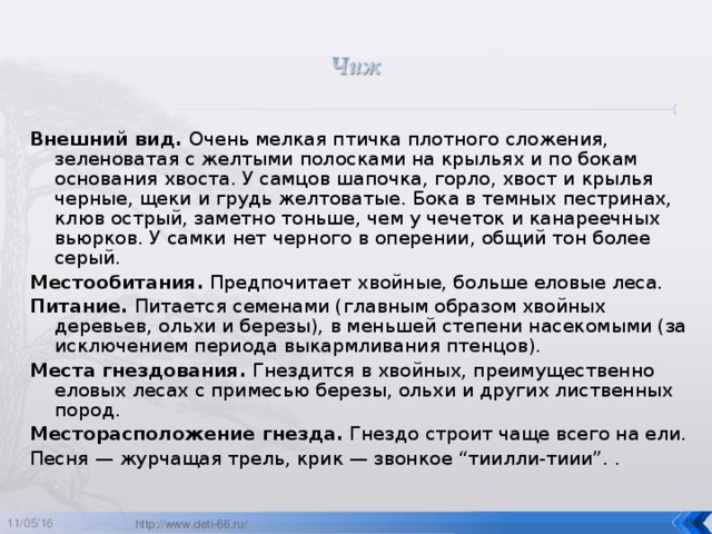 Внешний вид. Очень мелкая птичка плотного сложения, зеленоватая с желтыми полосками на крыльях и по бокам основания хвоста. У самцов шапочка, горло, хвост и крылья черные, щеки и грудь желтоватые. Бока в темных пестринах, клюв острый, заметно тоньше, чем у чечеток и канареечных вьюрков. У самки нет черного в оперении, общий тон более серый. Местообитания. Предпочитает хвойные, больше еловые леса. Питание. Питается семенами (главным образом хвойных деревьев, ольхи и березы), в меньшей степени насекомыми (за исключением периода выкармливания птенцов). Места гнездования. Гнездится в хвойных, преимущественно еловых лесах с примесью березы, ольхи и других лиственных пород. Месторасположение гнезда. Гнездо строит чаще всего на ели. Песня — журчащая трель, крик — звонкое “тиилли-тиии”. . 11/05/16  http://www.deti-66.ru/