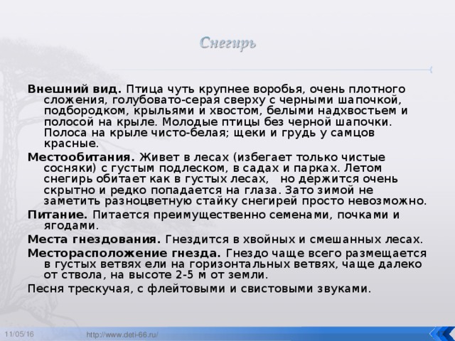 Внешний вид. Птица чуть крупнее воробья, очень плотного сложения, голубовато-серая сверху с черными шапочкой, подбородком, крыльями и хвостом, белыми надхвостьем и полосой на крыле. Молодые птицы без черной шапочки. Полоса на крыле чисто-белая; щеки и грудь у самцов красные. Местообитания. Живет в лесах (избегает только чистые сосняки) с густым подлеском, в садах и парках. Летом снегирь обитает как в густых лесах, но держится очень скрытно и редко попадается на глаза. Зато зимой не заметить разноцветную стайку снегирей просто невозможно. Питание. Питается преимущественно семенами, почками и ягодами. Места гнездования. Гнездится в хвойных и смешанных лесах. Месторасположение гнезда. Гнездо чаще всего размещается в густых ветвях ели на горизонтальных ветвях, чаще далеко от ствола, на высоте 2-5 м от земли. Песня трескучая, с флейтовыми и свистовыми звуками. 11/05/16  http://www.deti-66.ru/