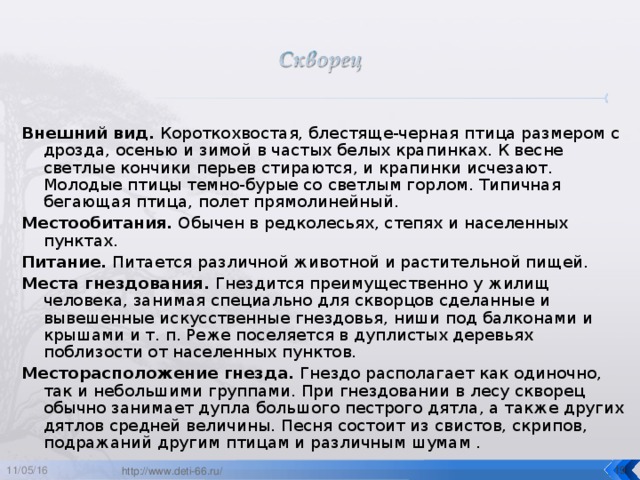 Внешний вид. Короткохвостая, блестяще-черная птица размером с дрозда, осенью и зимой в частых белых крапинках. К весне светлые кончики перьев стираются, и крапинки исчезают. Молодые птицы темно-бурые со светлым горлом. Типичная бегающая птица, полет прямолинейный. Местообитания. Обычен в редколесьях, степях и населенных пунктах. Питание. Питается различной животной и растительной пищей. Места гнездования. Гнездится преимущественно у жилищ человека, занимая специально для скворцов сделанные и вывешенные искусственные гнездовья, ниши под балконами и крышами и т. п. Реже поселяется в дуплистых деревьях поблизости от населенных пунктов. Месторасположение гнезда. Гнездо располагает как одиночно, так и небольшими группами. При гнездовании в лесу скворец обычно занимает дупла большого пестрого дятла, а также других дятлов средней величины. Песня состоит из свистов, скрипов, подражаний другим птицам и различным шумам . 11/05/16  http://www.deti-66.ru/