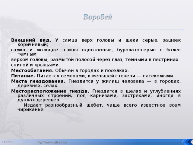 Внешний вид. У самца верх головы и щеки серые, зашеек коричневый; самка и молодые птицы однотонные, буровато-серые с более темным верхом головы, размытой полосой через глаз, темными в пестринах спиной и крыльями. Местообитания. Обычен в городах и поселках. Питание. Питается семенами, в меньшей степени — насекомыми. Места гнездования. Гнездится у жилищ человека — в городах, деревнях, селах. Месторасположение гнезда. Гнездится в щелях и углублениях различных строений, под карнизами, застрехами, иногда в дуплах деревьев.   Издает разнообразный щебет, чаще всего известное всем чириканье.    11/05/16  http://www.deti-66.ru/