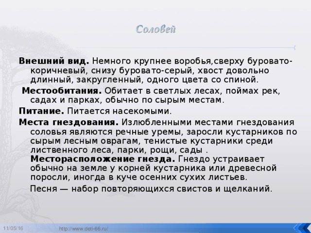 Внешний вид. Немного крупнее воробья,сверху буровато-коричневый, снизу буровато-серый, хвост довольно длинный, закругленный, одного цвета со спиной.  Местообитания. Обитает в светлых лесах, поймах рек, садах и парках, обычно по сырым местам. Питание. Питается насекомыми. Места гнездования. Излюбленными местами гнездования соловья являются речные уремы, заросли кустарников по сырым лесным оврагам, тенистые кустарники среди лиственного леса, парки, рощи, сады .  Месторасположение гнезда. Гнездо устраивает обычно на земле у корней кустарника или древесной поросли, иногда в куче осенних сухих листьев.  Песня — набор повторяющихся свистов и щелканий. 11/05/16  http://www.deti-66.ru/