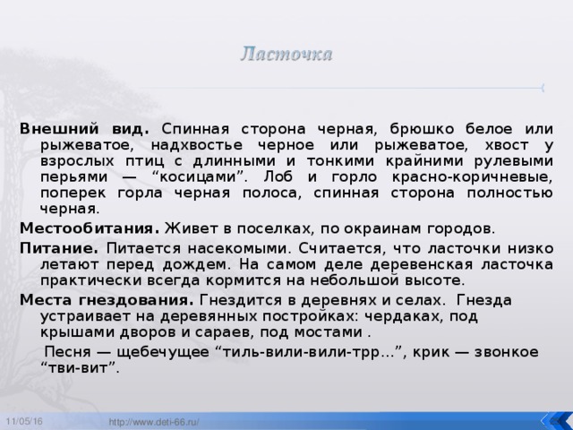 Внешний вид. Спинная сторона черная, брюшко белое или рыжеватое, надхвостье черное или рыжеватое, хвост у взрослых птиц с длинными и тонкими крайними рулевыми перьями — “косицами”. Лоб и горло красно-коричневые, поперек горла черная полоса, спинная сторона полностью черная. Местообитания. Живет в поселках, по окраинам городов. Питание. Питается насекомыми. Считается, что ласточки низко летают перед дождем. На самом деле деревенская ласточка практически всегда кормится на небольшой высоте. Места гнездования. Гнездится в деревнях и селах. Гнезда устраивает на деревянных постройках: чердаках, под крышами дворов и сараев, под мостами .    Песня — щебечущее “тиль-вили-вили-трр...”, крик — звонкое “тви-вит”. 11/05/16  http://www.deti-66.ru/