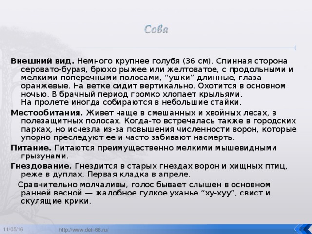 Внешний вид. Немного крупнее голубя (36 см). Спинная сторона серовато-бурая, брюхо рыжее или желтоватое, с продольными и мелкими поперечными полосами, “ушки” длинные, глаза оранжевые. На ветке сидит вертикально. Охотится в основном ночью. В брачный период громко хлопает крыльями.  На пролете иногда собираются в небольшие стайки. Местообитания. Живет чаще в смешанных и хвойных лесах, в полезащитных полосах. Когда-то встречалась также в городских парках, но исчезла из-за повышения численности ворон, которые упорно преследуют ее и часто забивают насмерть. Питание. Питаются преимущественно мелкими мышевидными грызунами. Гнездование. Гнездится в старых гнездах ворон и хищных птиц, реже в дуплах. Первая кладка в апреле.  Сравнительно молчаливы, голос бывает слышен в основном ранней весной — жалобное гулкое уханье “ху-хуу”, свист и скулящие крики. 11/05/16  http://www.deti-66.ru/