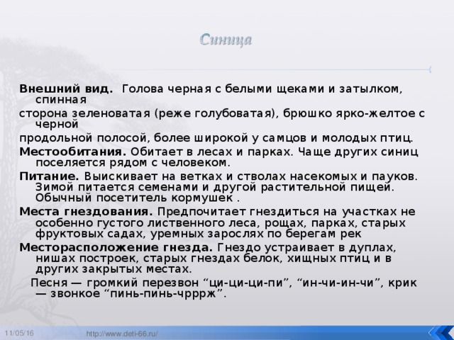 Внешний вид. Голова черная с белыми щеками и затылком, спинная сторона зеленоватая (реже голубоватая), брюшко ярко-желтое с черной продольной полосой, более широкой у самцов и молодых птиц. Местообитания. Обитает в лесах и парках. Чаще других синиц поселяется рядом с человеком. Питание. Выискивает на ветках и стволах насекомых и пауков. Зимой питается семенами и другой растительной пищей. Обычный посетитель кормушек . Места гнездования. Предпочитает гнездиться на участках не особенно густого лиственного леса, рощах, парках, старых фруктовых садах, уремных зарослях по берегам рек Месторасположение гнезда. Гнездо устраивает в дуплах, нишах построек, старых гнездах белок, хищных птиц и в других закрытых местах.    Песня — громкий перезвон “ци-ци-ци-пи”, “ин-чи-ин-чи”, крик — звонкое “пинь-пинь-чрррж”. 11/05/16  http://www.deti-66.ru/