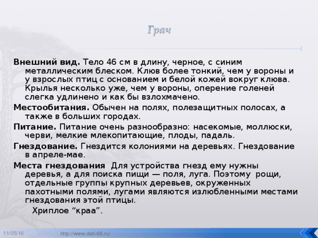 Внешний вид. Тело 46 см в длину, черное, с синим металлическим блеском. Клюв более тонкий, чем у вороны и у взрослых птиц с основанием и белой кожей вокруг клюва. Крылья несколько уже, чем у вороны, оперение голеней слегка удлинено и как бы взлохмачено. Местообитания. Обычен на полях, полезащитных полосах, а также в больших городах. Питание. Питание очень разнообразно: насекомые, моллюски, черви, мелкие млекопитающие, плоды, падаль. Гнездование. Гнездится колониями на деревьях. Гнездование в апреле-мае. Места гнездования Для устройства гнезд ему нужны деревья, а для поиска пищи — поля, луга. Поэтому рощи, отдельные группы крупных деревьев, окруженных пахотными полями, лугами являются излюбленными местами гнездования этой птицы.    Хриплое “краа”. 11/05/16  http://www.deti-66.ru/