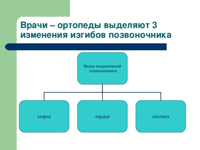 Врачи – ортопеды выделяют 3 изменения изгибов позвоночника Виды искривлений  позвоночника кифоз лордоз сколиоз