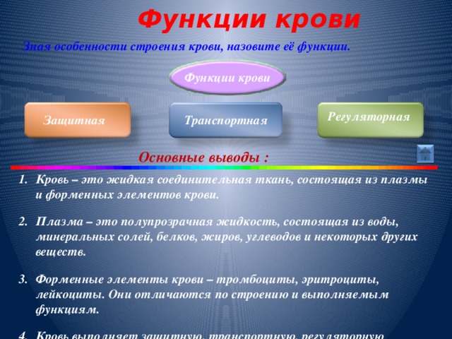 Функции крови Зная особенности строения крови, назовите её функции. Функции крови Регуляторная Транспортная Защитная Основные выводы : Кровь – это жидкая соединительная ткань, состоящая из плазмы и форменных элементов крови.  Плазма – это полупрозрачная жидкость, состоящая из воды, минеральных солей, белков, жиров, углеводов и некоторых других веществ.  Форменные элементы крови – тромбоциты, эритроциты, лейкоциты. Они отличаются по строению и выполняемым функциям.  Кровь выполняет защитную, транспортную, регуляторную функции.