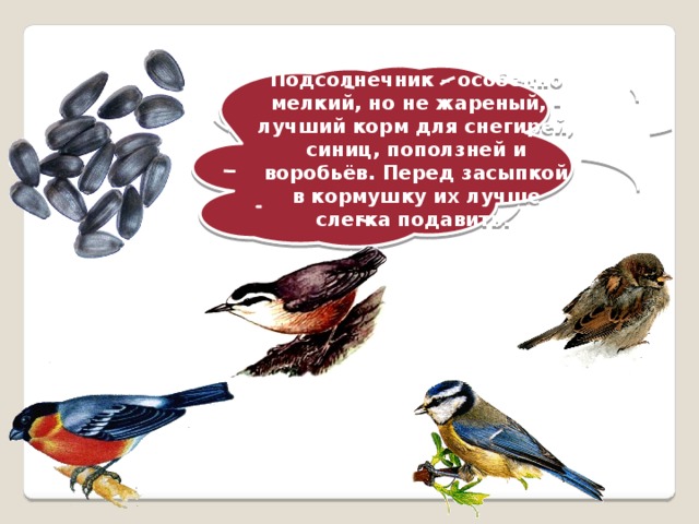 Подсолнечник – особенно мелкий, но не жареный, - лучший корм для снегирей, синиц, поползней и воробьёв. Перед засыпкой в кормушку их лучше слегка подавить.