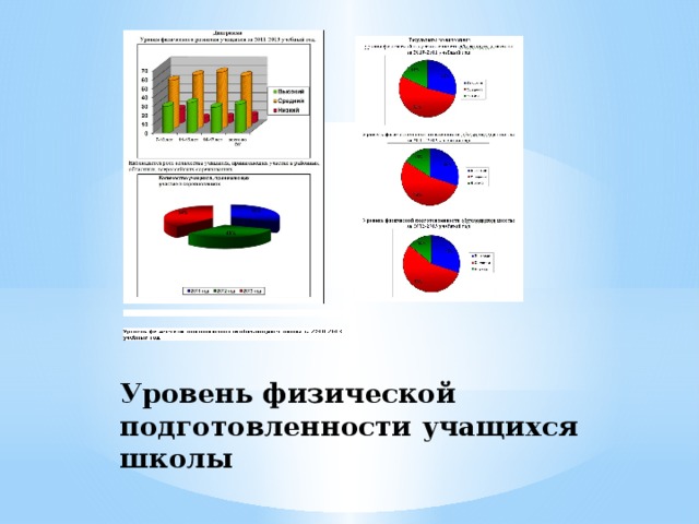 Уровень физической подготовленности учащихся школы