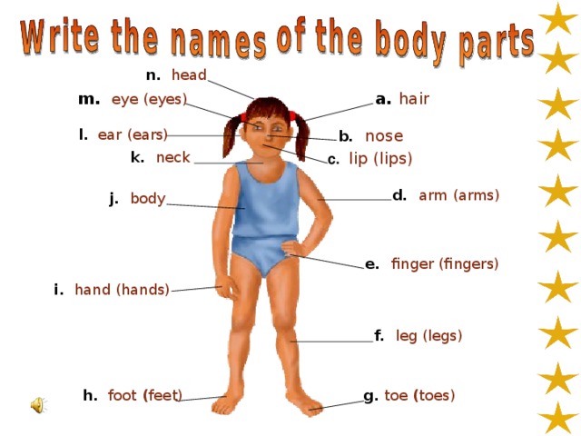 n. head hair m. eye (eyes) a. l. ear (ears) b.  nose  c.  lip (lips) k. neck d.  arm (arms) j. body e.  finger (fingers) i. hand (hands) f. leg (legs) h. foot  ( feet) g. toe  ( toes)