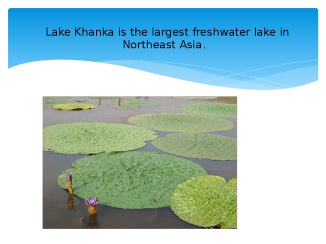 Lake Khanka is the largest freshwater lake in Northeast Asia.