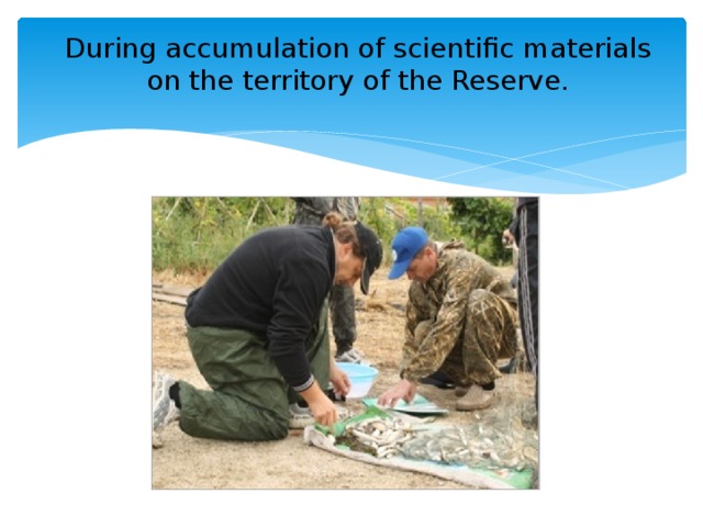 During accumulation of scientific materials on the territory of the Reserve.