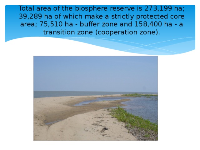 Total area of the biosphere reserve is 273,199 ha; 39,289 ha of which make a strictly protected core area; 75,510 ha - buffer zone and 158,400 ha - a transition zone (cooperation zone).