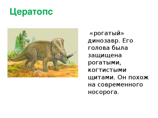 Цератопс    «рогатый» динозавр. Его голова была защищена рогатыми, когтистыми щитами. Он похож на современного носорога.