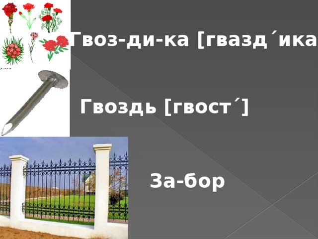 Гвоз-ди-ка [гвазд´ика] Гвоздь [гвост´] За-бор