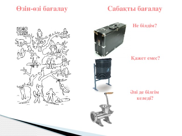 Өзін-өзі бағалау Сабақты бағалау Не білдім?  Қажет емес? Әлі де білгім келеді?