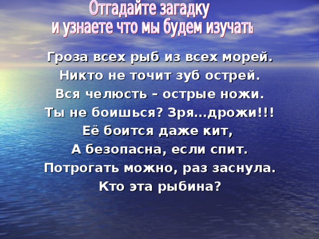 Гроза всех рыб из всех морей. Никто не точит зуб острей. Вся челюсть – острые ножи. Ты не боишься? Зря…дрожи!!! Её боится даже кит, А безопасна, если спит. Потрогать можно, раз заснула. Кто эта рыбина?