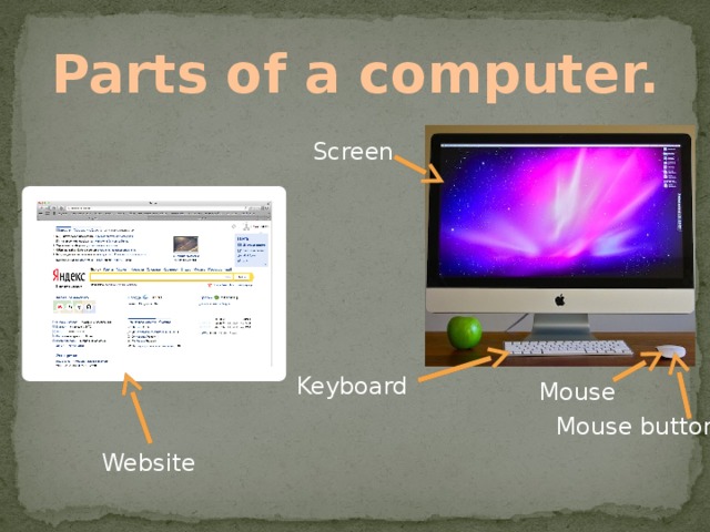 Parts of a computer. Screen Keyboard Mouse Mouse button Website