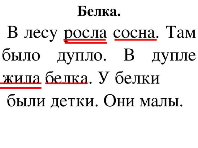 Белка. В лесу росла сосна. Там было дупло. В дупле жила белка. У белки были детки. Они малы.