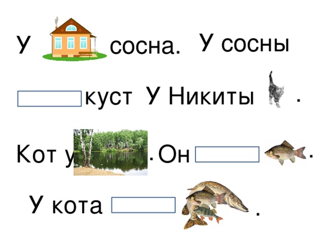 У сосны У сосна. . куст. У Никиты . . Кот у Он У кота .