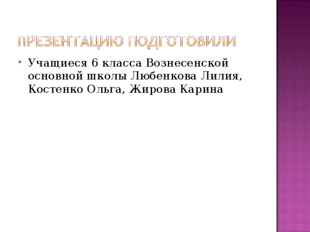 Учащиеся 6 класса Вознесенской основной школы Любенкова Лилия, Костенко Ольга, Жирова Карина