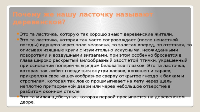 Почему же нашу ласточку называют деревенской?