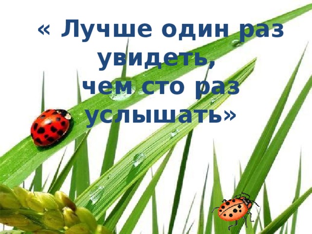 « Лучше один раз увидеть,  чем сто раз услышать»