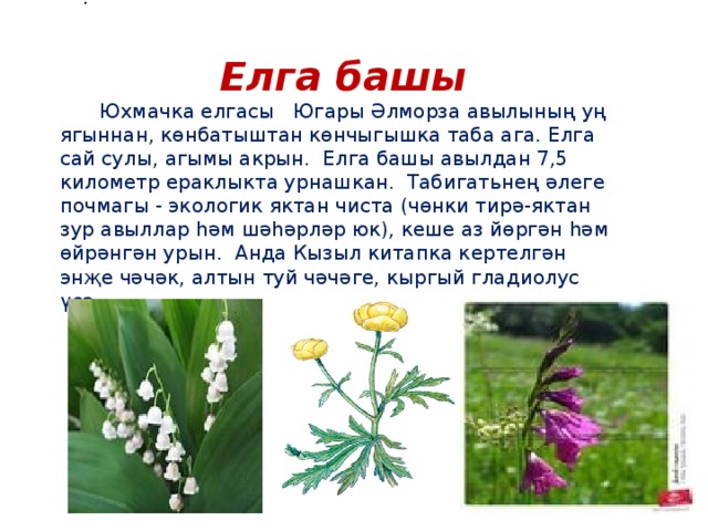 . Елга башы  Юхмачка елгасы Югары Әлморза авылының уң ягыннан, көнбатыштан көнчыгышка таба ага. Елга сай сулы, агымы акрын. Елга башы авылдан 7,5 километр ераклыкта урнашкан. Табигатьнең әлеге почмагы - экологик яктан чиста (чөнки тирә-яктан зур авыллар һәм шәһәрләр юк), кеше аз йөргән һәм өйрәнгән урын. Анда Кызыл китапка кертелгән энҗе чәчәк, алтын туй чәчәге, кыргый гладиолус үсә.