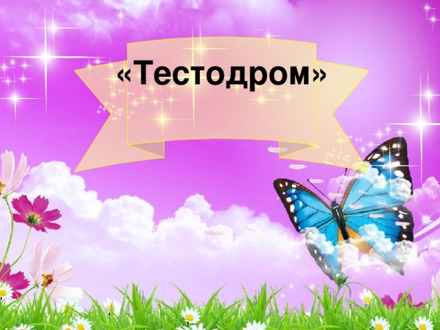 «Тестодром»