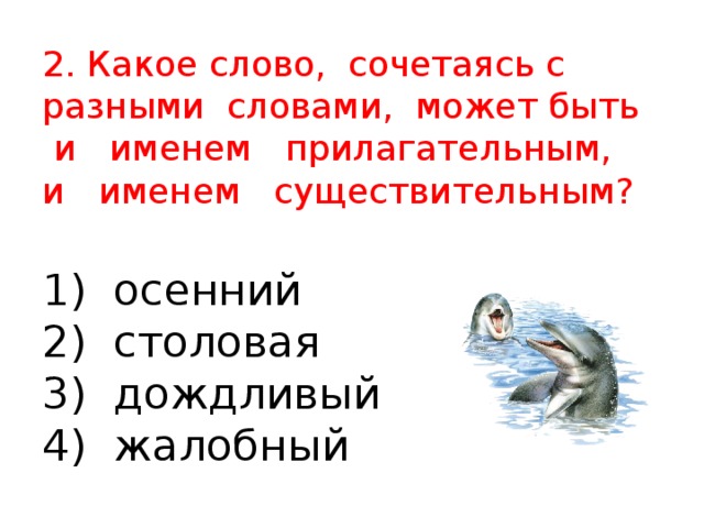 2. Какое слово, сочетаясь с разными словами, может быть и именем прилагательным, и именем существительным?   1) осенний  2) столовая  3) дождливый  4) жалобный