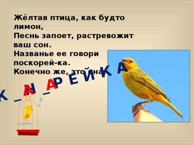 К _ Н _ Р Е Й К А А А Жёлтая птица, как будто лимон,  Песнь запоет, растревожит ваш сон.  Названье ее говори поскорей-ка.  Конечно же, это она, ...
