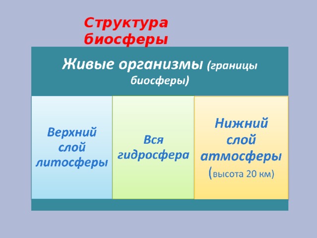 Структура биосферы 9 класс биология